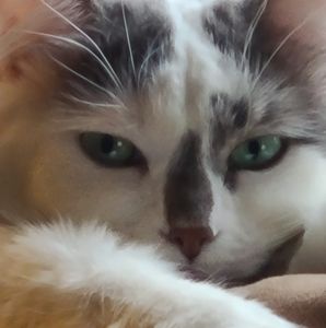 Meet your Posher, Sandi